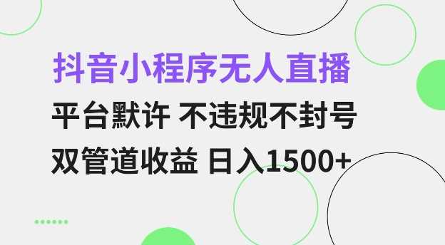 抖音小程序无人直播 平台默许 不违规不封号 双管道收益 日入多张 小白也能轻松操作【仅揭秘】-来友网创