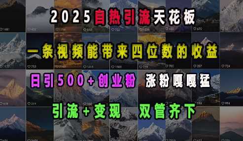 2025自热引流天花板，一条视频能带来四位数的收益，引流+变现双管齐下，日引500+创业粉，涨粉嘎嘎猛-来友网创