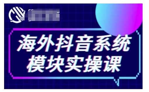 海外抖音Tiktok系统模块实操课，TK短视频带货，TK直播带货，TK小店端实操等-来友网创
