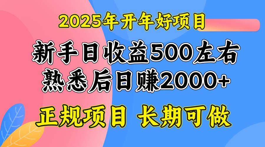 （14076期）2025开年好项目，单号日收益2000左右-来友网创