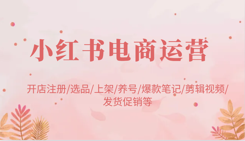 小红书电商运营：开店注册/选品/上架/养号/爆款笔记/剪辑视频/发货促销等-来友网创