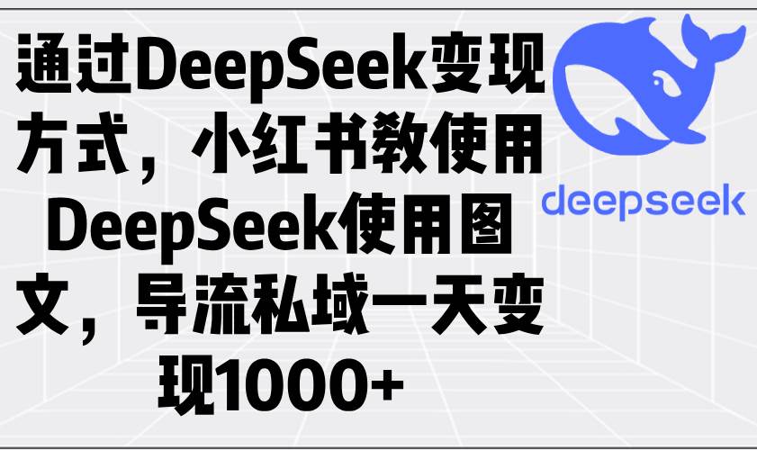 （14179期）通过DeepSeek变现方式，小红书教使用DeepSeek图文，导流私域一天变现1000+-来友网创