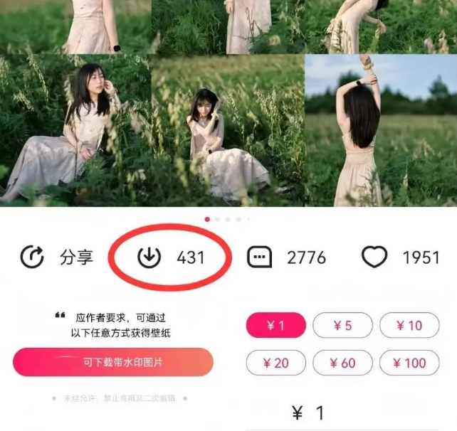 图片[2]-最新图虫搬运项目，收益无上限，利用AI小白也可日赚500+-来友网创