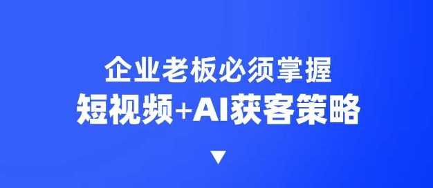 企业短视频AI获客霸屏流量课，6步短视频+AI突围法，3大霸屏抢客策略-来友网创