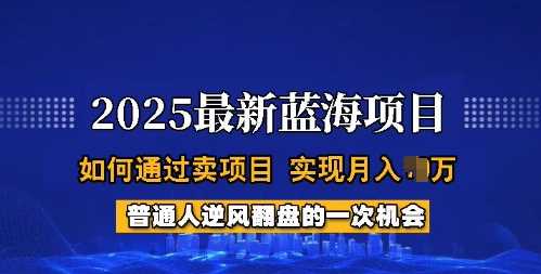 2025蓝海项目，普通人如何通过卖项目，实现月入过W，全过程【揭秘】-来友网创