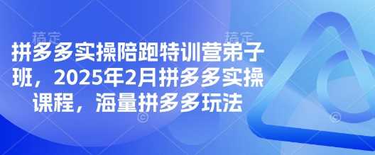 拼多多实操陪跑特训营弟子班，2025年2月拼多多实操课程，海量拼多多玩法-来友网创