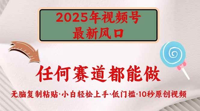 （14453期）2025年视频号新风口，低门槛只需要无脑执行-来友网创