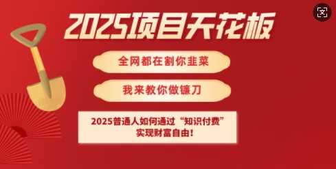 2025项目天花板普通人如何通过知识付费，实现财F自由【揭秘】-来友网创