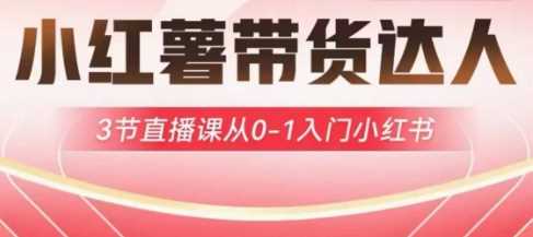 小红薯达人带货启航计划，3节直播课从0-1入门小红书-来友网创