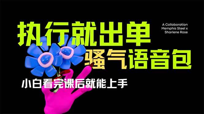 （14170期）爆火全网的开车导航骚气语音包,只要执行就出单，小白看完课程就能实操…-来友网创