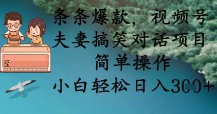 条条爆款，视频号夫妻搞笑对话项目，简单操作，小白轻松日入3张+-来友网创