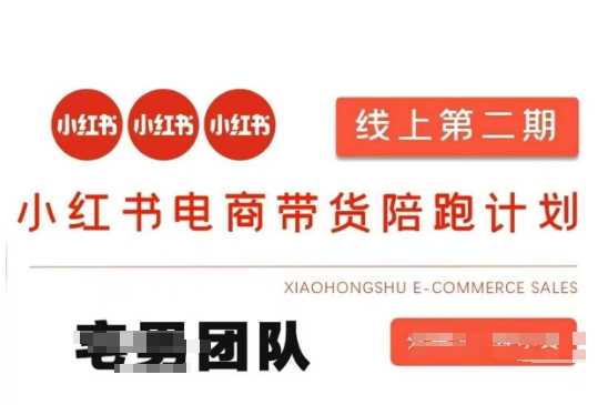 小红书电商带货课2期，月利润20个的小红书电商的有货源，无货源，虚拟产品，付费投流等整套玩法-来友网创