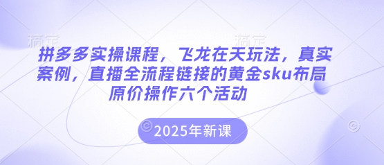 拼多多实操课程，飞龙在天玩法，真实案例，直播全流程链接的黄金sku布局原价操作六个活动-来友网创