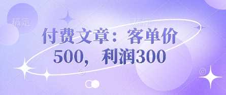 付费文章：客单价500，利润300-来友网创