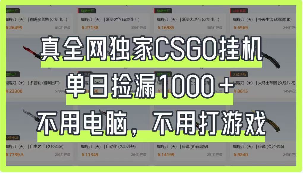 真全网独家CSGO挂机，单日捡漏1000+，不用电脑，不用养号-来友网创