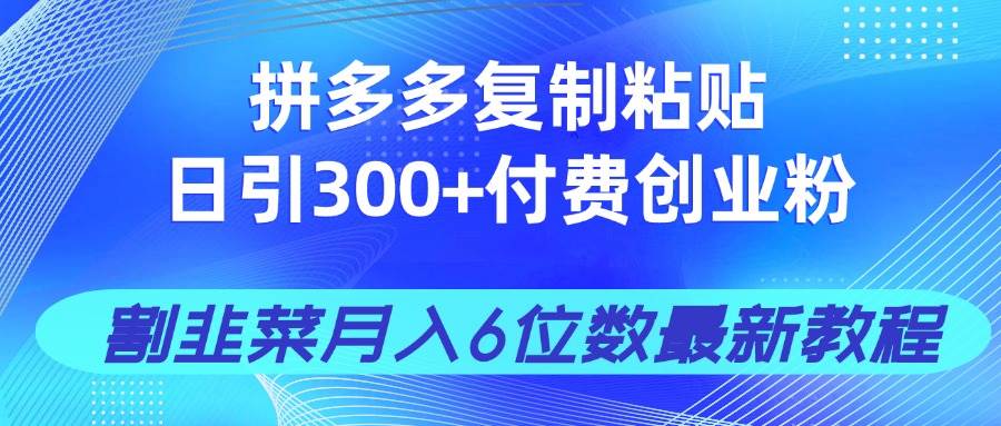 （14232期）拼多多复制粘贴日引300+付费创业粉，割韭菜月入6位数最新教程！-来友网创
