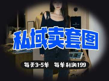 私域卖套图每天3-5单，每单利润99-来友网创