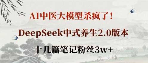 AI中医大模型杀疯了！DeepSeek中式养生2.0版本，十几篇笔记粉丝3w+-来友网创