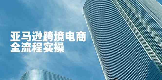 亚马逊跨境电商全流程实操，教你从零开始，掌握店铺运营与广告技巧-来友网创