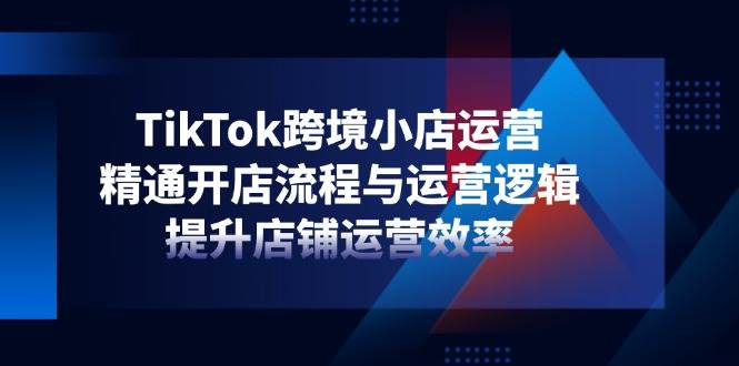 （14369期）TikTok跨境小店运营，精通开店流程与运营逻辑，提升店铺运营效率-来友网创