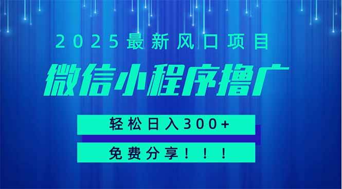 （14375期）微信小程序撸广，最新风口项目，日入300+ 免费分享 可批量操作 小白可…-来友网创