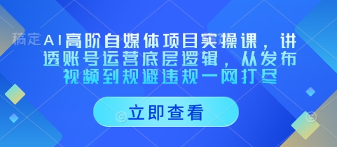 AI高阶自媒体项目实操课，讲透账号运营底层逻辑，从发布视频到规避违规一网打尽-来友网创