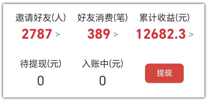 图片[2]-2025网盘拉新项目独家玩法，靠主项目支线做出全自动收益-来友网创