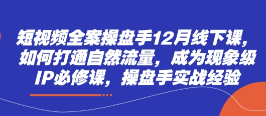 短视频全案操盘手12月线下课，如何打通自然流量，成为现象级IP必修课，操盘手实战经验-来友网创