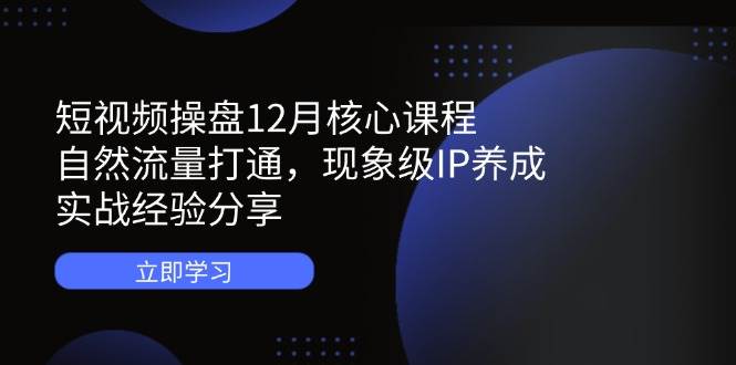 （14447期）短视频操盘12月核心课程：自然流量打通，现象级IP养成，实战经验分享-来友网创