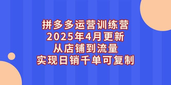 （14469期）拼多多运营训练营2025年4月更新，从店铺到流量，实现日销千单可复制-来友网创