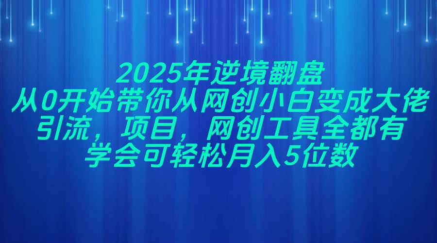 （14473期）2025年逆境翻盘，从0开始带你从网创小白变成大佬，引流，项目，网创工…-来友网创