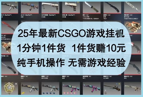 25年最新CSGO游戏挂G，1分钟1件货，1件货挣10元，纯手机操作，无需游戏经验【揭秘】-来友网创