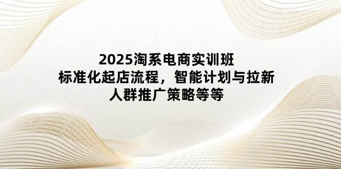 （14522期）2025淘系电商实训班：标准化起店流程，智能计划与拉新，人群推广策略等等-来友网创
