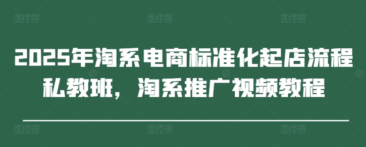 2025年淘系电商标准化起店流程私教班，淘系推广视频教程-来友网创