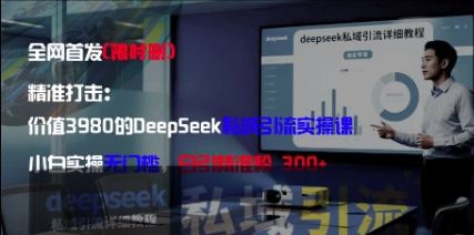 精准打击：价值3980的DeepSeek私域引流实操课，小白实操无门槛，日引精准粉300+-来友网创