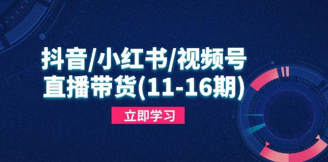 （14611期）抖音/小红书/视频号/直播带货(11-16期)，快速掌握平台规则，打造爆款内容-来友网创