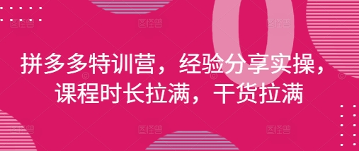 拼多多特训营，经验分享实操，课程时长拉满，干货拉满(更新25年4月)-来友网创