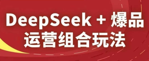 DeepSeek+爆品运营组合玩法，2025淘系精品课-来友网创