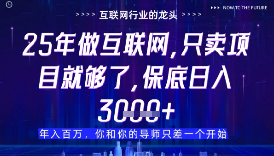 什么！25年你还在找项目做？风口早就变了，卖项目才是稳挣不赔【揭秘】-来友网创