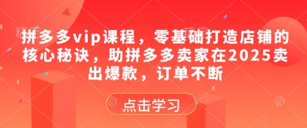 拼多多vip课程，零基础打造店铺的核心秘诀，助拼多多卖家在2025卖出爆款，订单不断-来友网创