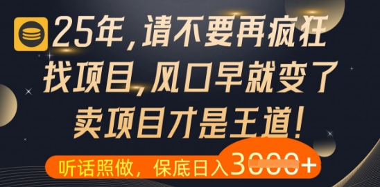 什么？25年你还在疯狂找项目做，醒醒吧，看完这些你全都懂了【揭秘】-来友网创