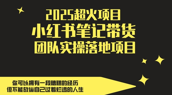 2025超火项目，副业最佳选择，小红书笔记带货团队实操落地项目，，轻松日入5张-来友网创