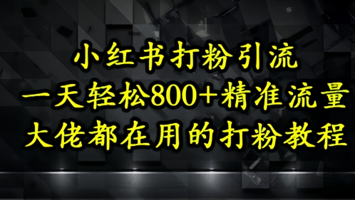 小红书打粉引流，一天轻松500+精准流量，大佬都在用的打粉教程-来友网创