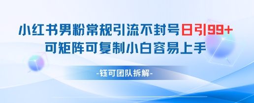 小红书男粉常规引流不封号日引99+变现简单 可矩阵可复制小白容易上手-来友网创