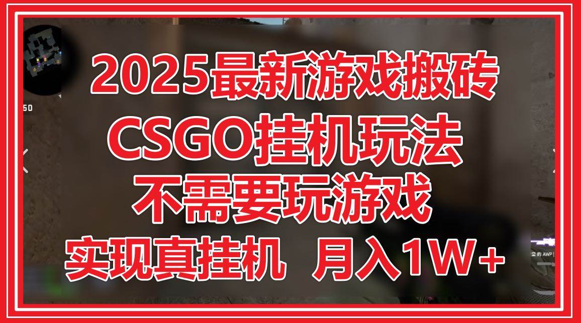 （14743期）2025最新游戏搬砖，CSGO挂机，不需要玩游戏，实现真挂机，月入1W+-来友网创