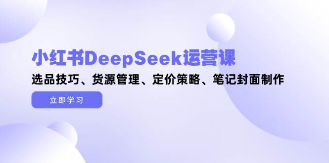 小红书DeepSeek运营课，选品技巧、货源管理、定价策略、笔记封面制作-来友网创