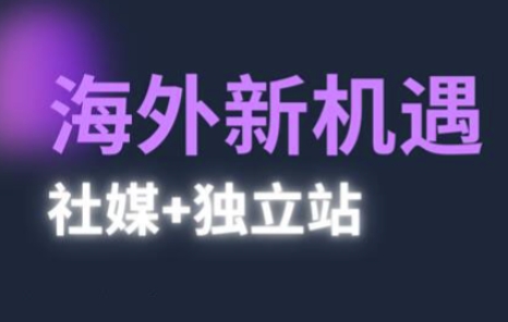 2025出海新机遇(社媒+独立站)，海外新机遇，实现独立站的高效运营与出海-来友网创