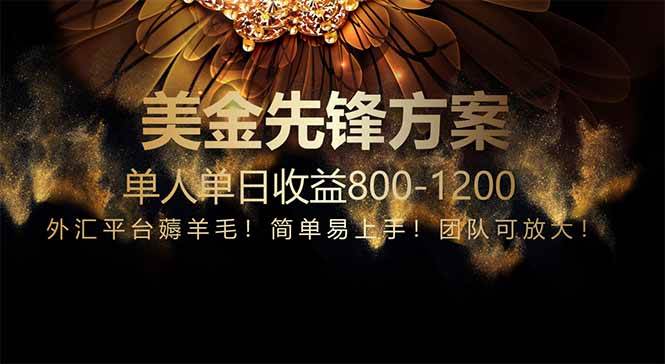 （14761期）免费技术！小众赛道！一年布局抵三年努力，每日800+-来友网创