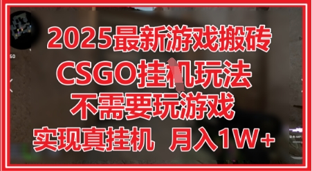2025最新游戏搬砖，CSGO挂G，不需要玩游戏，实现真挂G，月入1W+【揭秘】-来友网创