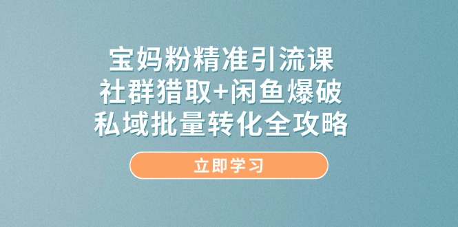 （14820期）宝妈粉精准引流课，社群猎取+闲鱼爆破，私域批量转化全攻略-来友网创